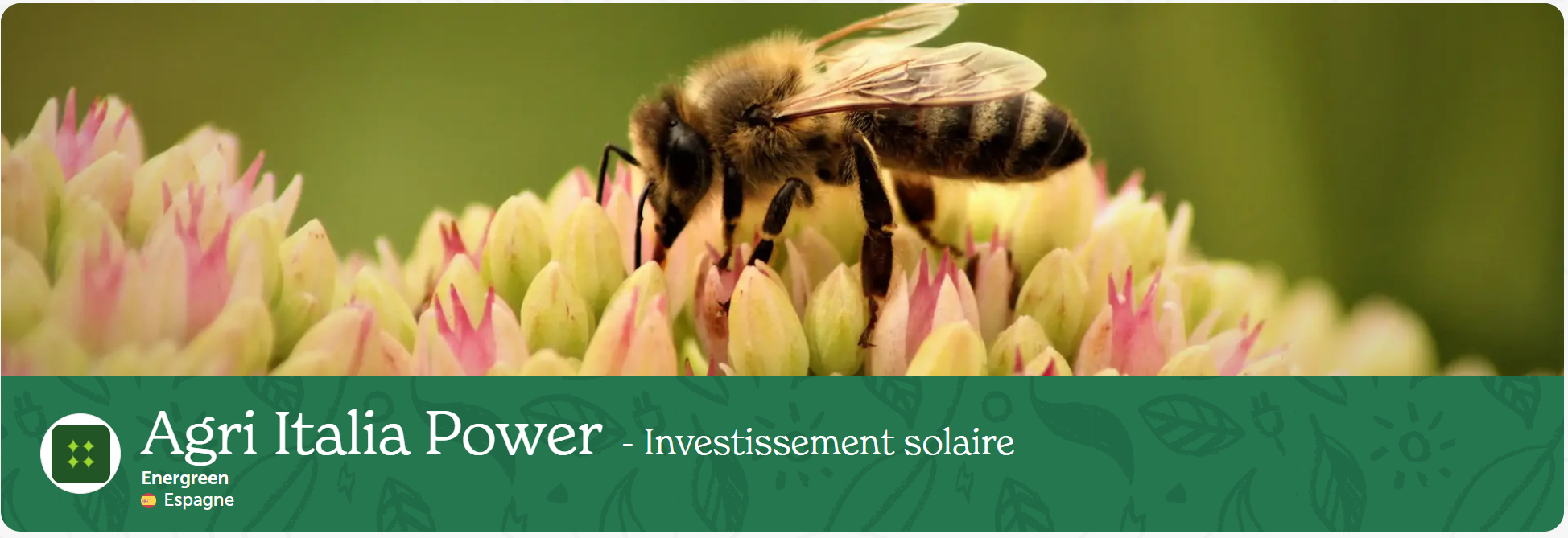 Enerfip - Agri Italia Power- Investissement solaire