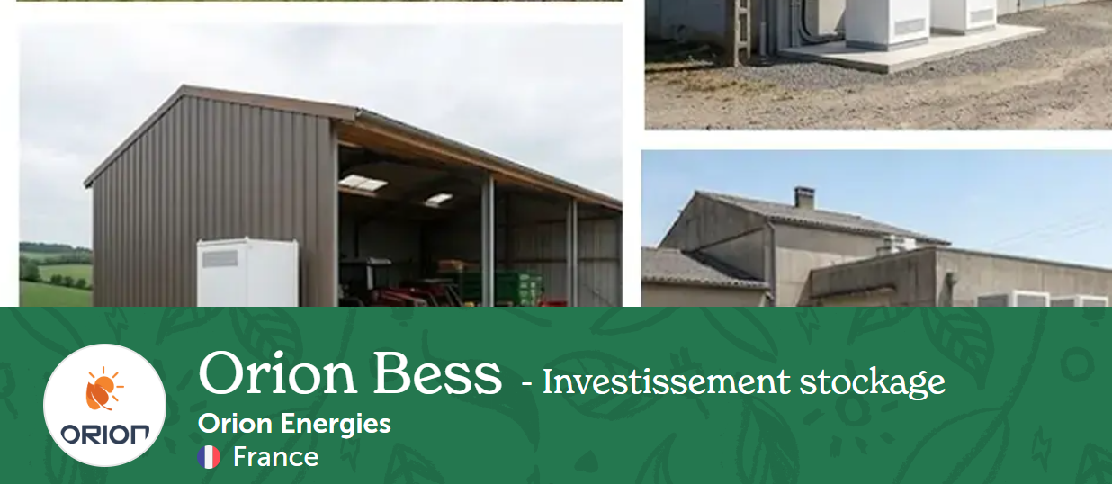 Orion Bess - Investissement stockage