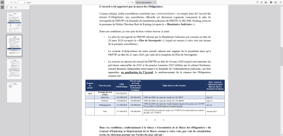 Mon Exemple  DMVIP Convocation Consultation PLAN VFINALE.docx.pdf