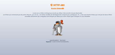 Screenshot 2024 06 27 at 16 51 23 HTTP 403