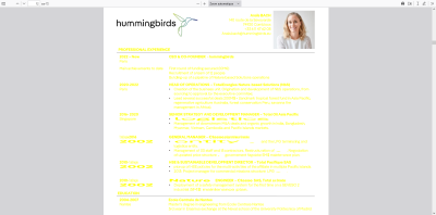 Screenshot 2023 06 13 at 23 15 49 Microsoft Word   Fiche dinformations cles   hummingbirds Papariko vClean.docx   Documentation Projet Papariko.pdf